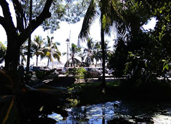french-polynesia/tahiti/punaauia/attraction/bougainville-park