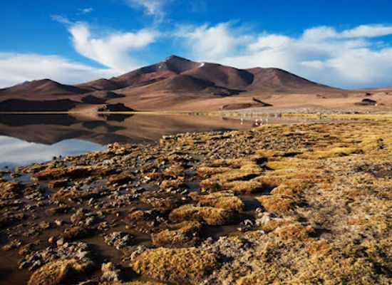 chile/atacama-desert/attraction/parque-nacional-nevado-tres-cruces