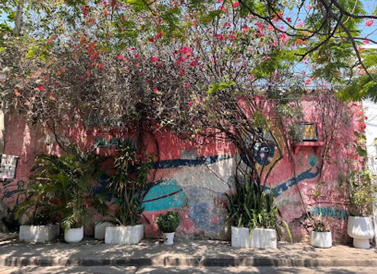 colombia/cartagena/getsemani/attraction/calle-de-las-sombrillas