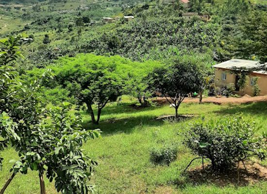 rwanda/nyabarongo-river/attraction/extrainn-eco-village