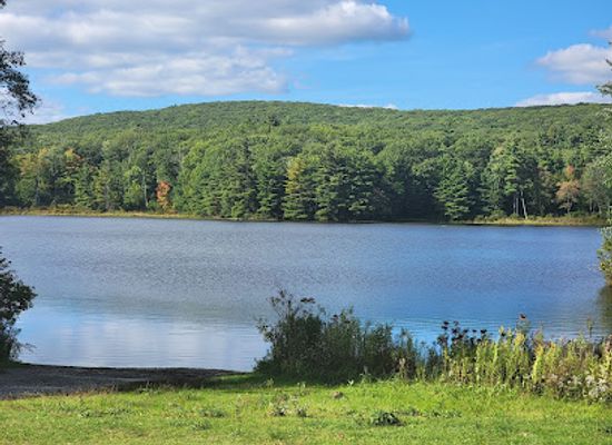 massachusetts/berkshires/attraction/benedict-pond-loop
