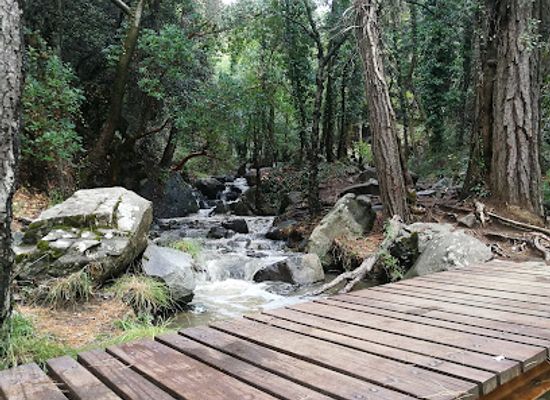cyprus/troodos/attraction/monopati-kalidonia