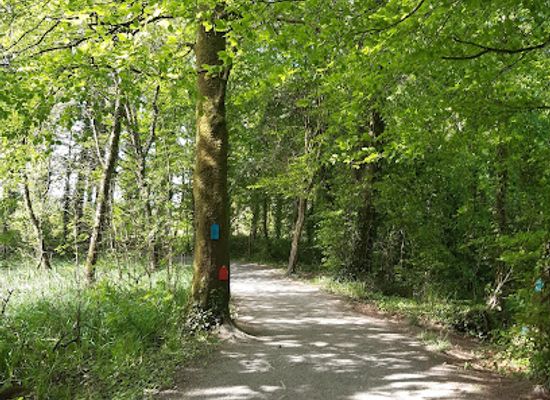 ireland/county-tipperary/attraction/marl-bog