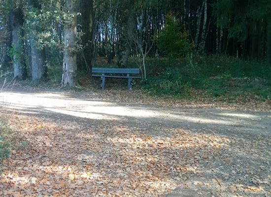 belgium/malmedy/attraction/banc-derriere-l-es-jardin
