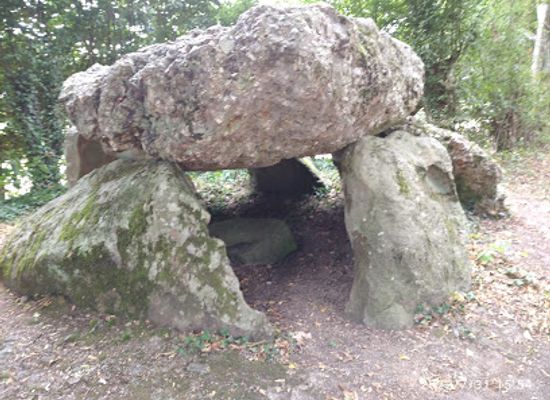 france/normandy-coast/attraction/dolmen-de-la-grosse-pierre-verneusses