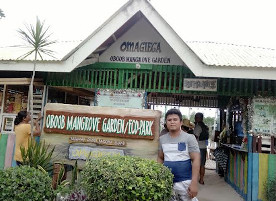 philippines/visayas/attraction/omagieca-obo-ob-mangrove-garden