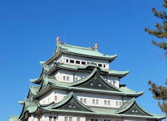 japan/nagoya/attraction/nagoya-castle