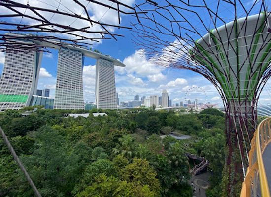 singapore/novena/attraction/supertree-grove