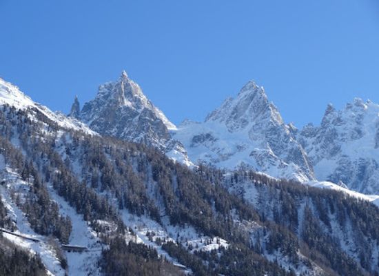 france/chamonix/attraction/paradis-woods
