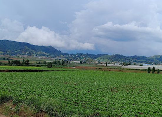 dominican-republic/constanza/attraction/los-cedros