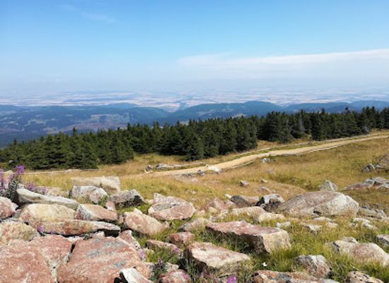 germany/harz-national-park/attraction/brocken-garden