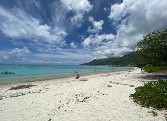 french-polynesia/moorea/attraction/public-beach