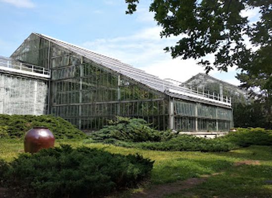 poland/poznan/wilda/attraction/poznan-palm-house