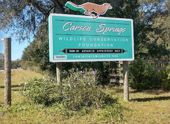 florida/santa-fe-river/attraction/carson-springs-wildlife-conservation-foundation