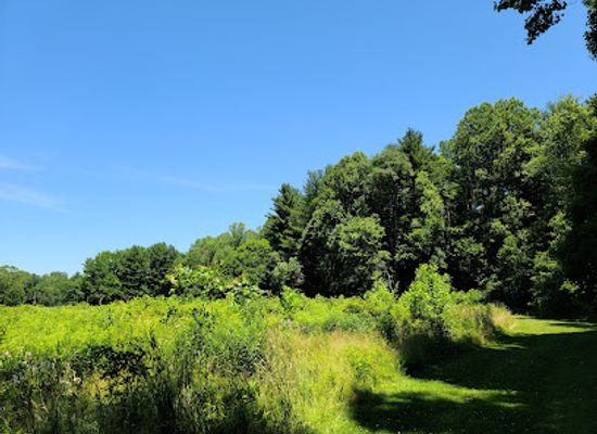 ohio/western-reserve/attraction/rogers-meadow