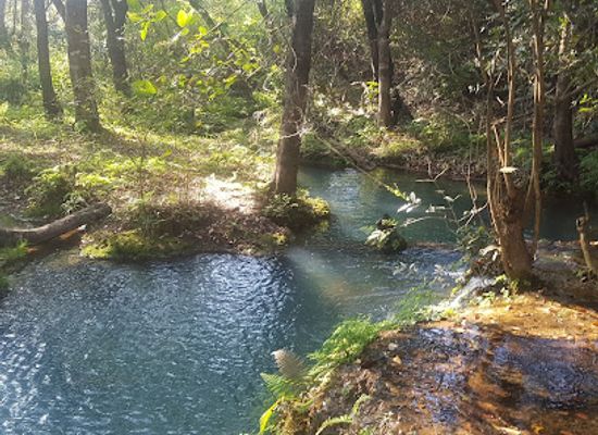 zambia/chirundu-valley/attraction/monkey-pools