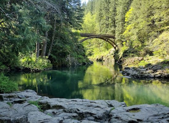 washington/southwest-washington/attraction/moulton-falls-bridge
