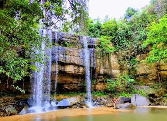 kenya/diani-beach/attraction/shimba-hills-national-reserve