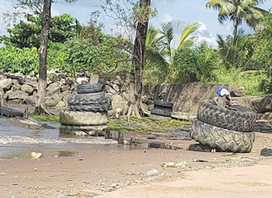 guyana/essequibo-islands-west-demerara/attraction/bushy-park-beach-resort-essequibo-guyana