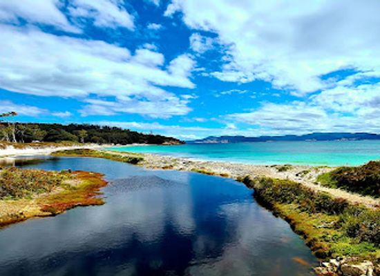 australia/tasman-peninsula/attraction/painted-cliffs