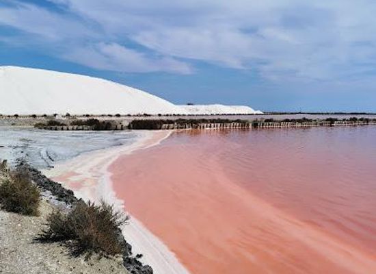 france/languedoc/attraction/salin-d-aigues-mortes