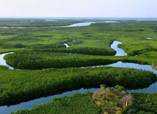 the-gambia/bakau/attraction/saloum-delta-national-park
