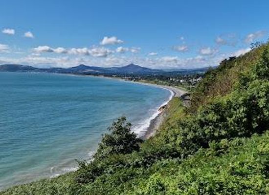 ireland/county-dublin/attraction/killiney-hill-viewpoint