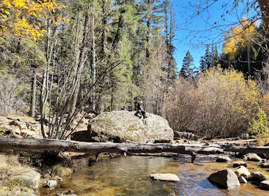 new-mexico/los-alamos/attraction/santa-fe-national-forest