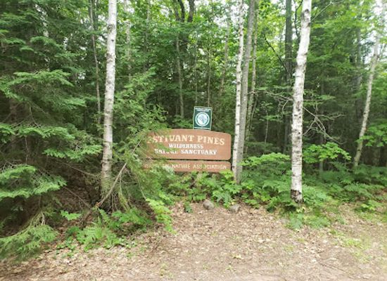 michigan/copper-harbor/attraction/estivant-pines-wilderness-nature-sanctuary