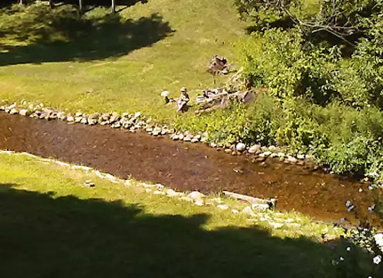 michigan/kalamazoo/attraction/river-villa-jan-schau-wildflower-walk