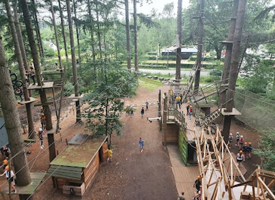 netherlands/veluwe/attraction/klimbos-garderen