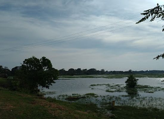 sri-lanka/arugam-bay/attraction/sharjun-rest