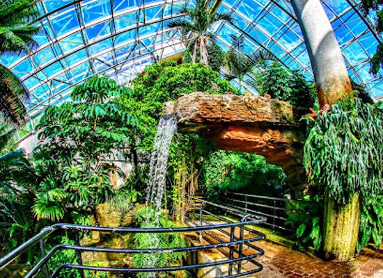 indiana/fort-wayne/attraction/foellinger-freimann-botanical-conservatory