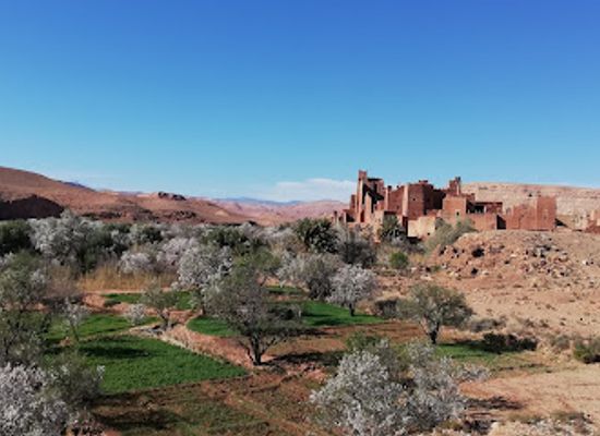 morocco/saharan-morocco/attraction/ouarzazate-private-tour-guide-morocco-desert-tour-ouarzazate-day-trips
