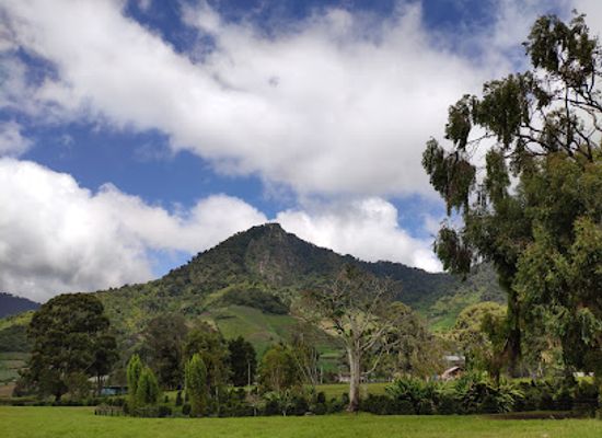 panama/volcan/attraction/haras-cerro-punta