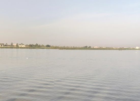 iraq/shatt-al-arab/attraction/jazeera-al-basrah