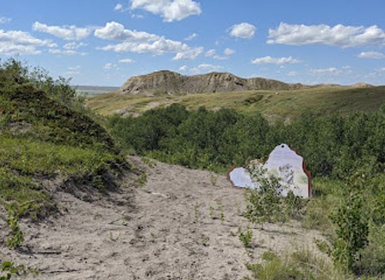canada/northern-canada/attraction/grasslands-national-park