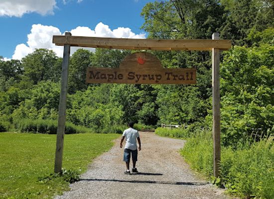 canada/greater-toronto-area/attraction/bruce-s-mill-conservation-park