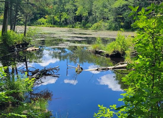rhode-island/kent-county/attraction/fisherville-brook-wildlife-refuge-parking
