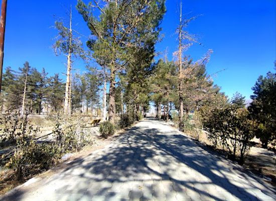 pakistan/eastern-balochistan/attraction/mian-ghundi-recreational-park
