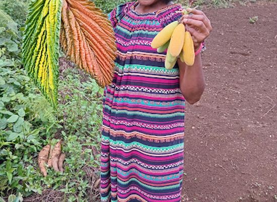 papua-new-guinea/goroka/attraction/goroka-picnic-park