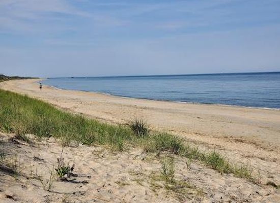 delaware/the-lewes-and-rehoboth-canal-area/attraction/higbee-beach