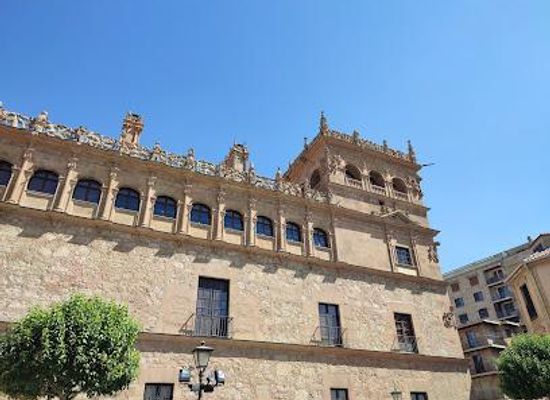 spain/salamanca/attraction/monterrey-s-palace