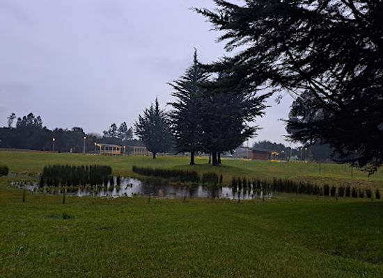 chile/temuco/attraction/cautin-island-urban-park