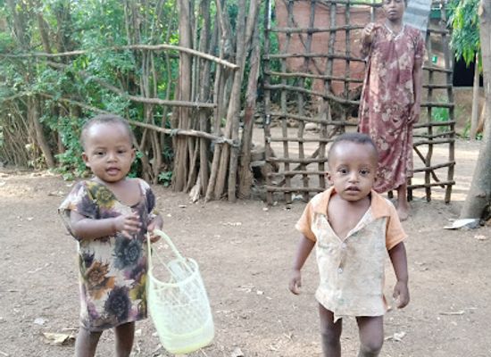 ethiopia/arbaminch/attraction/wana