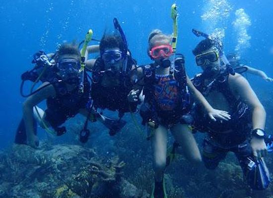 british-virgin-islands/west-end/attraction/coki-dive-center