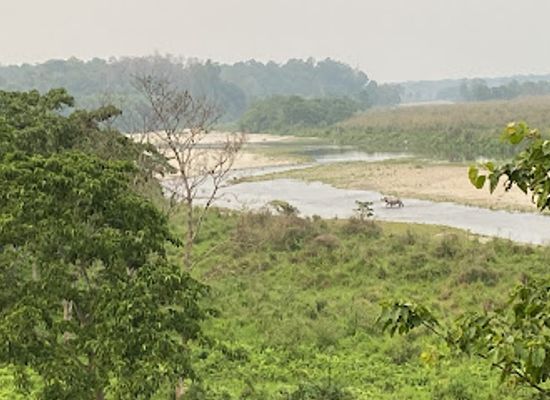 india/northern-plains/attraction/gorumara-national-park