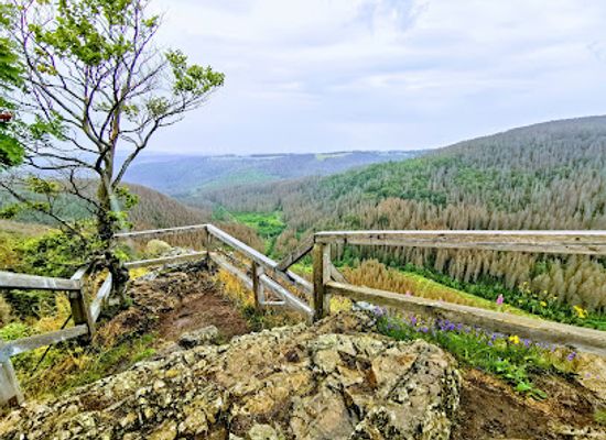 germany/harz-mountains/attraction/hahnenklee-crags