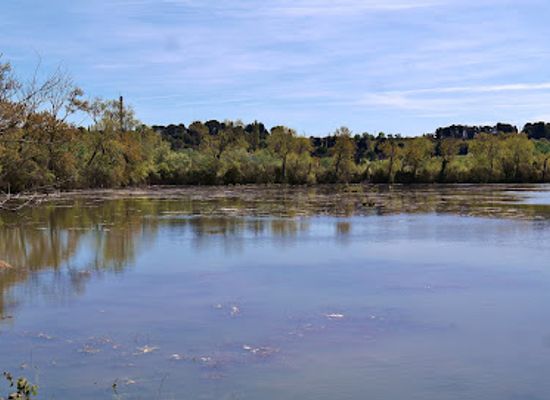 france/camargue/attraction/marais-de-beauchamp