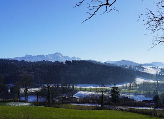 switzerland/st-gallen/attraction/freudenberg